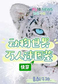 動物世界萬人迷圖鑒[快穿]