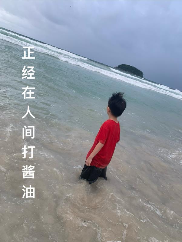 正經在人間打醬油