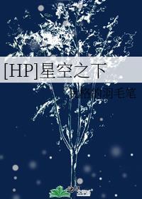 [HP]星空之下