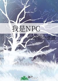 我是NPC