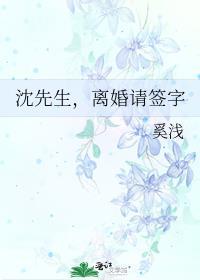 沈先生，離婚請簽字