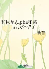 和巨星Alpha和離後我懷孕了