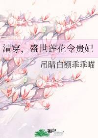 清穿，盛世蓮花令貴妃