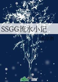 SSGG流水小記