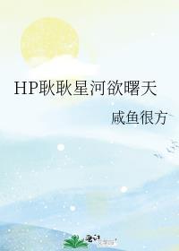 HP耿耿星河欲曙天