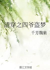 清穿之四爺盜夢